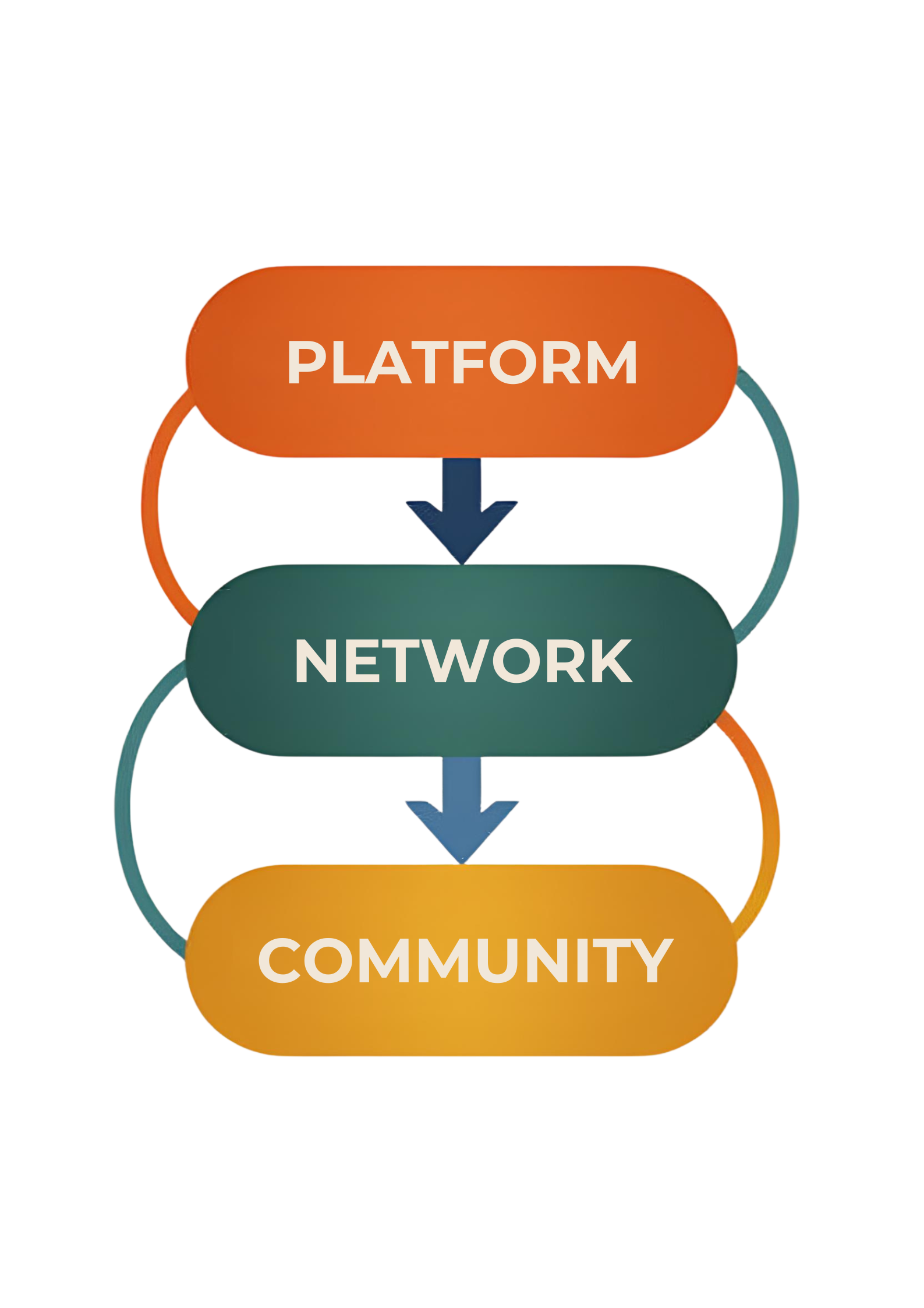 Dynamic Infographic with Rounded Rectangles